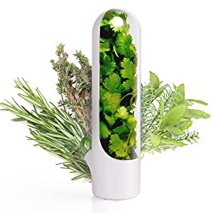 Fresh Herb Keeper