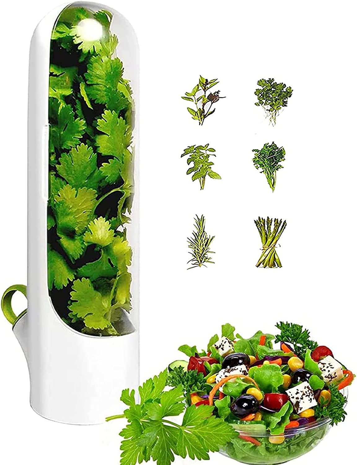 Fresh Herb Keeper