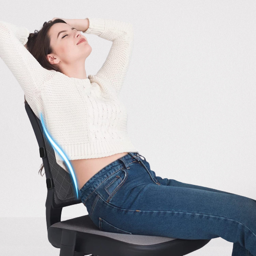 Lumbar Support Pillow for Back Support