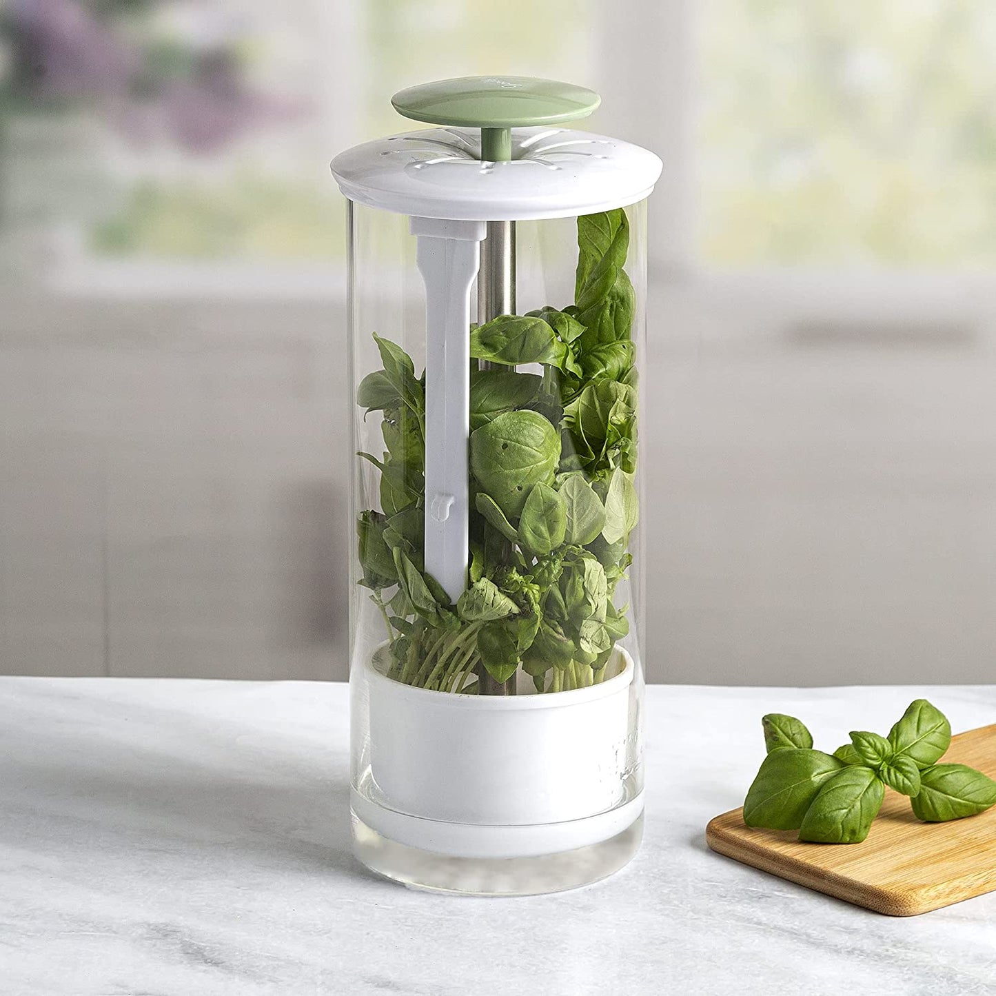 Herb Keeper Preserver Optimum Breathable Airflow