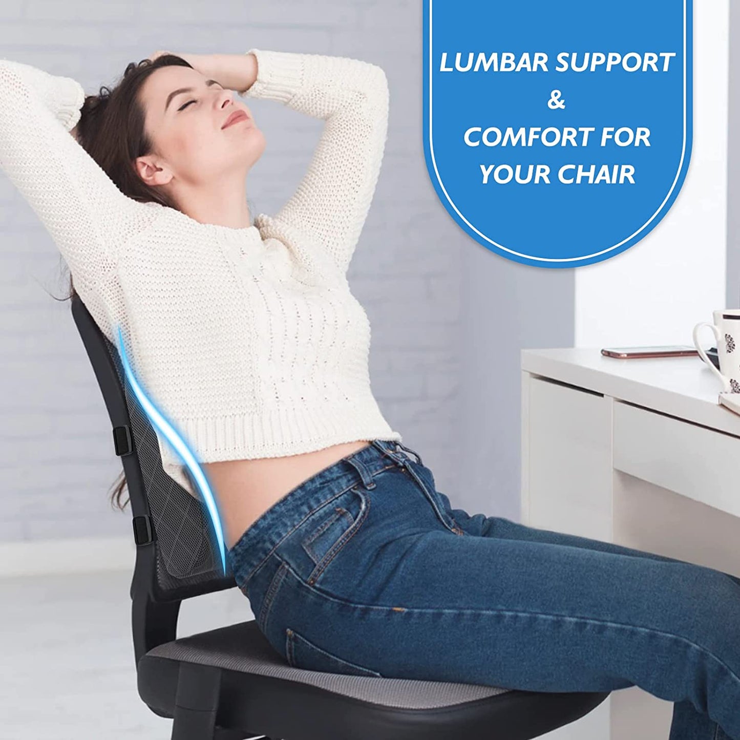 Lumbar Support Pillow for Back Support